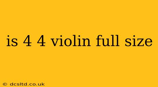 is 4 4 violin full size