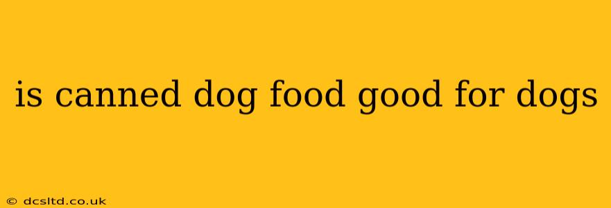 is canned dog food good for dogs