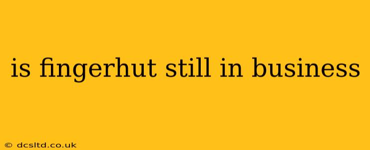 is fingerhut still in business