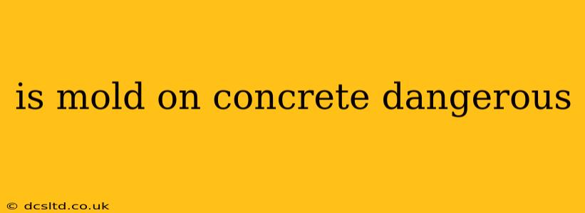 is mold on concrete dangerous
