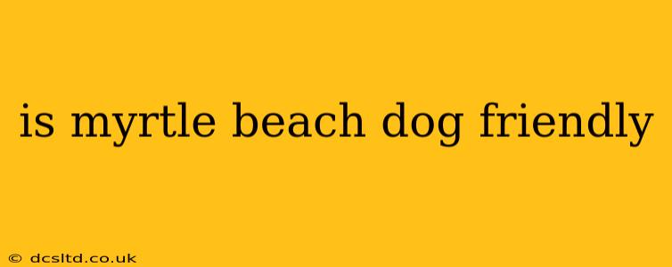is myrtle beach dog friendly