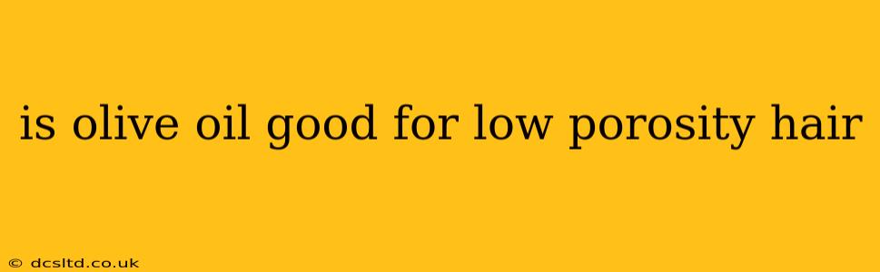 is olive oil good for low porosity hair