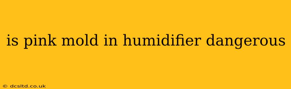 is pink mold in humidifier dangerous