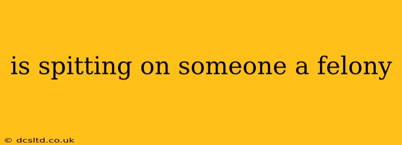 is spitting on someone a felony
