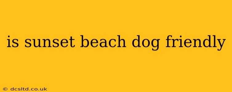is sunset beach dog friendly