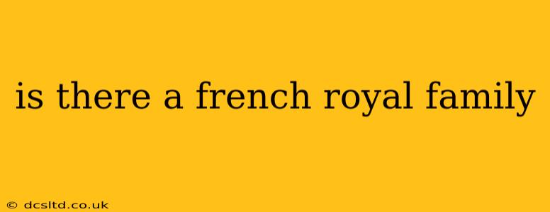 is there a french royal family