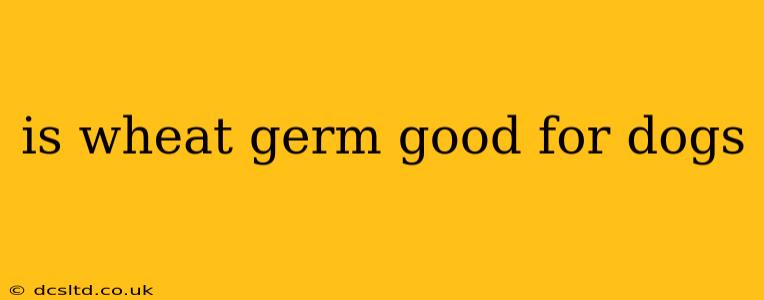 is wheat germ good for dogs