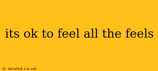 its ok to feel all the feels