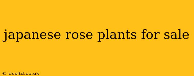 japanese rose plants for sale