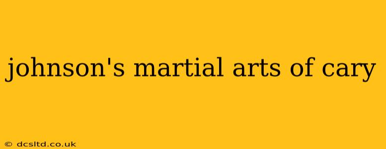 johnson's martial arts of cary