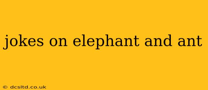 jokes on elephant and ant