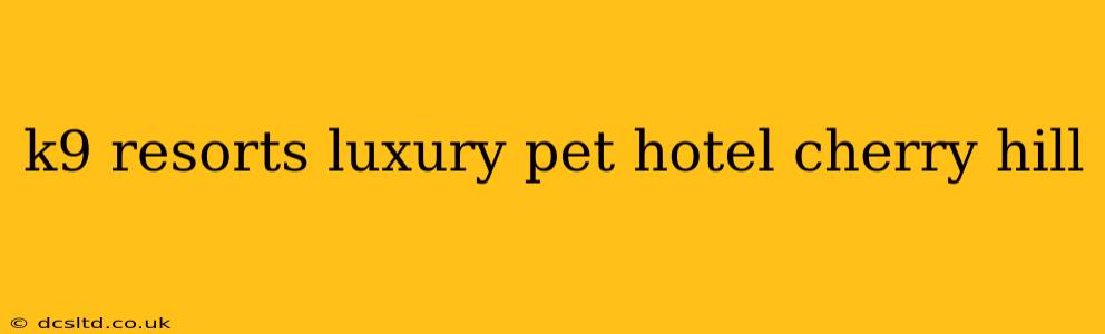 k9 resorts luxury pet hotel cherry hill