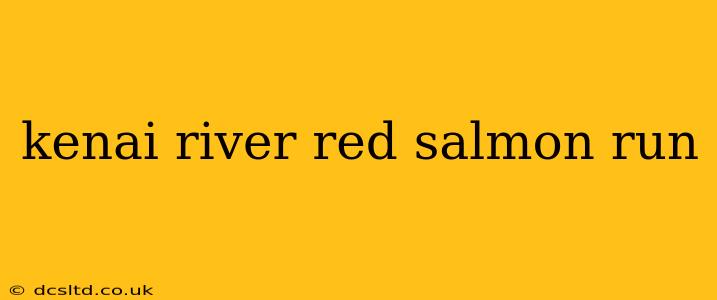 kenai river red salmon run