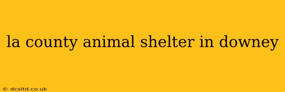 la county animal shelter in downey