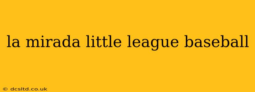 la mirada little league baseball