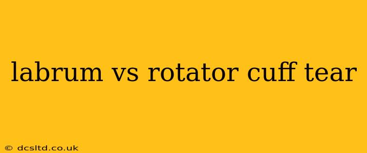 labrum vs rotator cuff tear