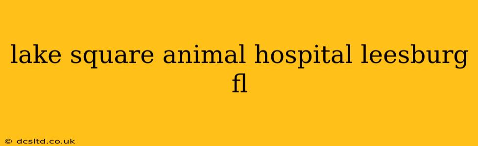 lake square animal hospital leesburg fl
