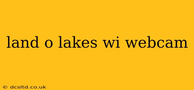 land o lakes wi webcam