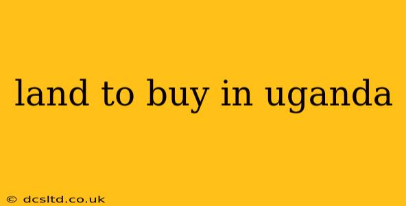 land to buy in uganda