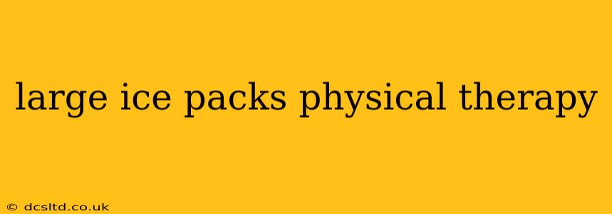 large ice packs physical therapy
