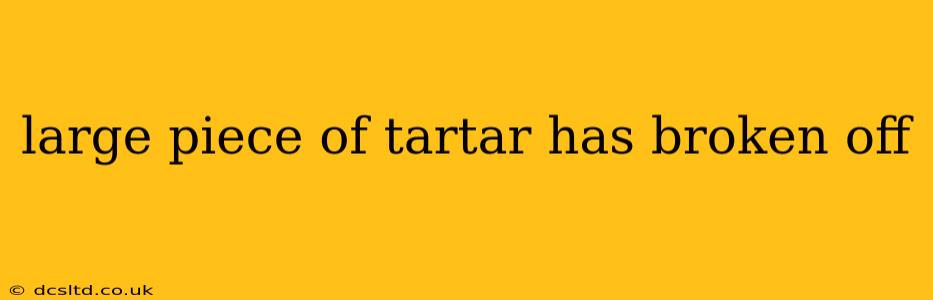 large piece of tartar has broken off