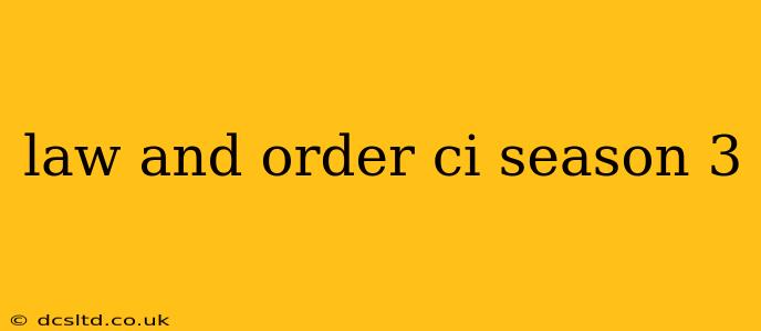 law and order ci season 3