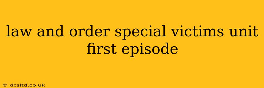 law and order special victims unit first episode