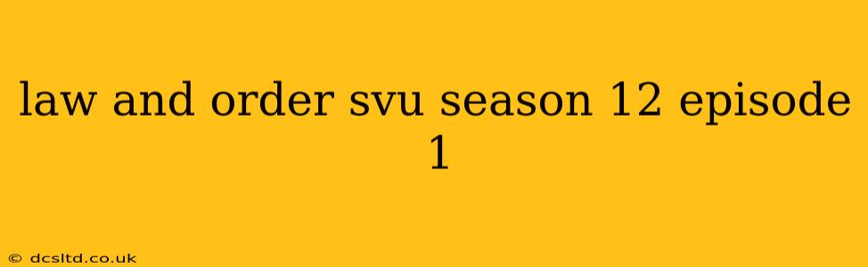 law and order svu season 12 episode 1