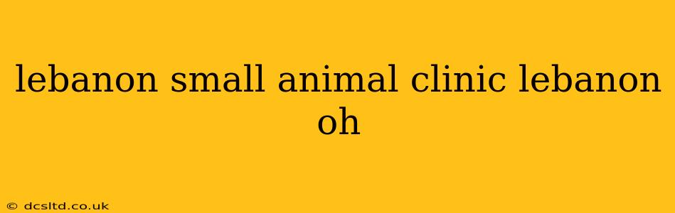 lebanon small animal clinic lebanon oh