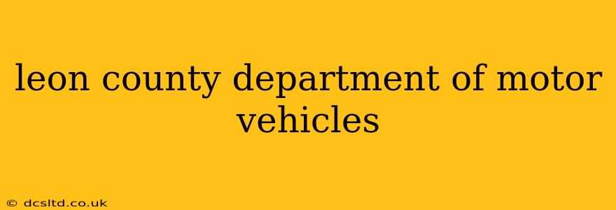 leon county department of motor vehicles