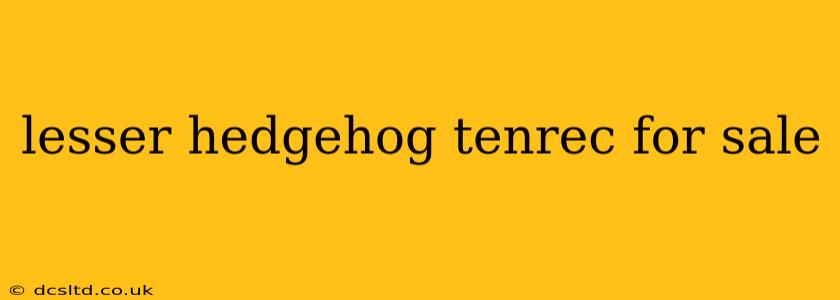 lesser hedgehog tenrec for sale