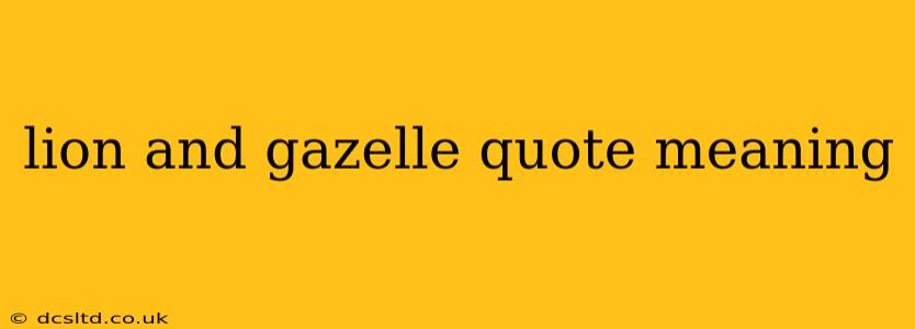 lion and gazelle quote meaning