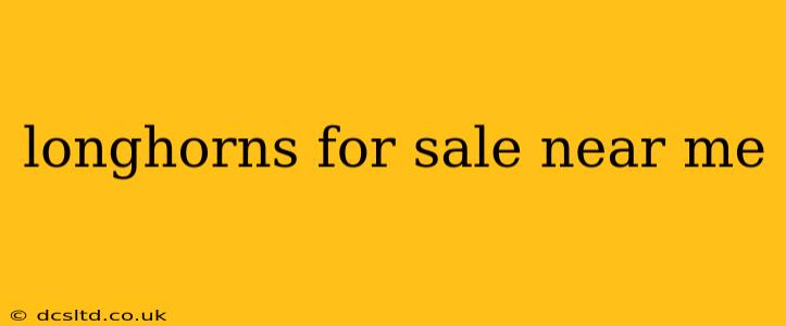 longhorns for sale near me