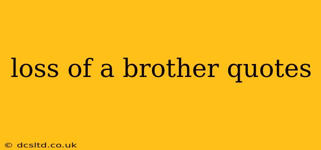loss of a brother quotes