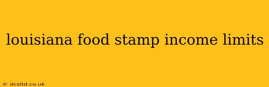 louisiana food stamp income limits
