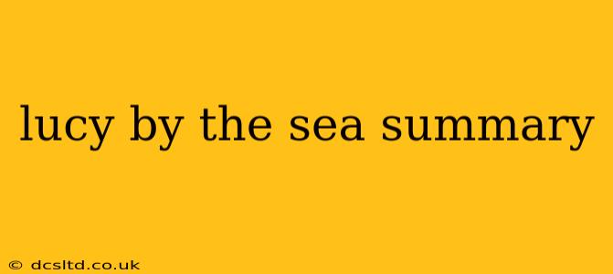 lucy by the sea summary
