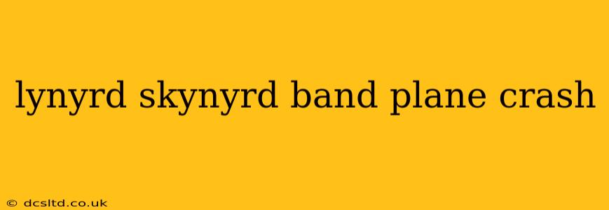 lynyrd skynyrd band plane crash
