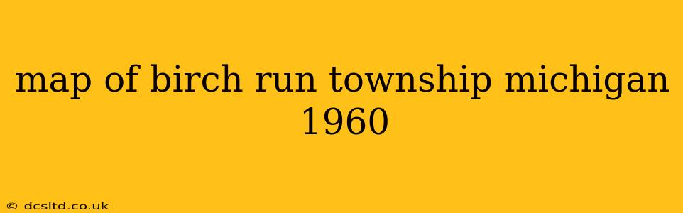map of birch run township michigan 1960