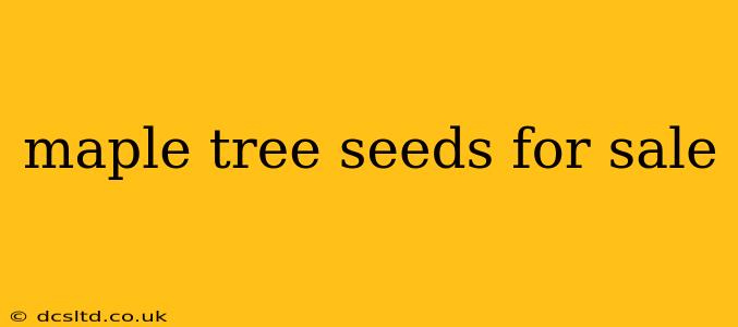 maple tree seeds for sale