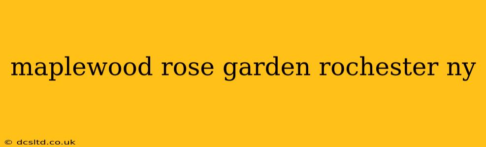 maplewood rose garden rochester ny