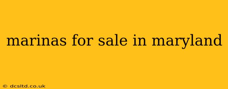 marinas for sale in maryland