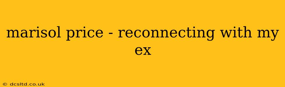 marisol price - reconnecting with my ex