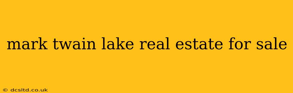 mark twain lake real estate for sale