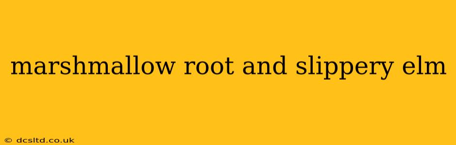 marshmallow root and slippery elm