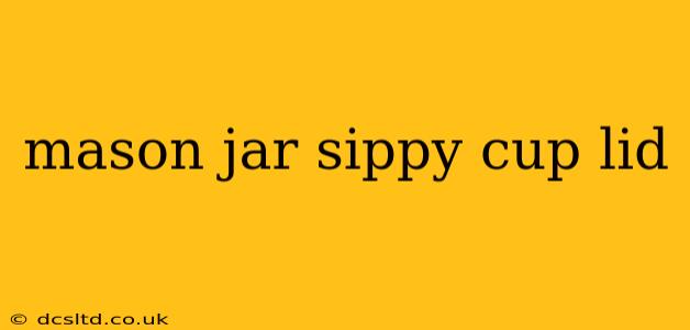 mason jar sippy cup lid