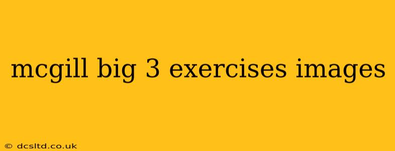 mcgill big 3 exercises images