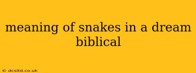 meaning of snakes in a dream biblical