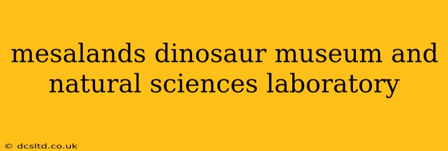 mesalands dinosaur museum and natural sciences laboratory
