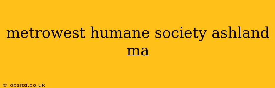 metrowest humane society ashland ma