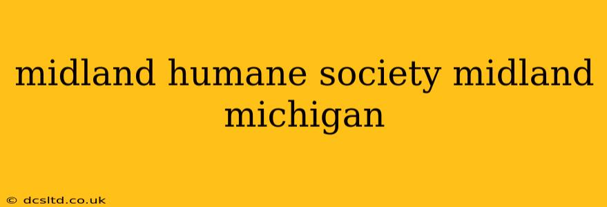 midland humane society midland michigan